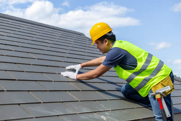 Best Storm Damage Roof Repair  in Jacksonville, AL
